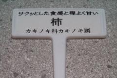勝手に品種名を付けてみました